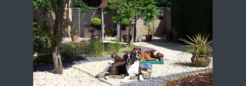A normal day here at Sleipnir - it's a dogs life!