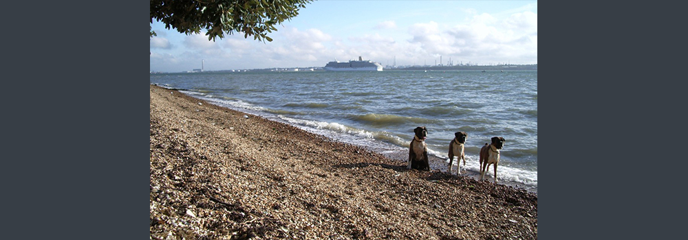 Our 3 at Netley Beach with the Arcadia Liner in the background Sept 06