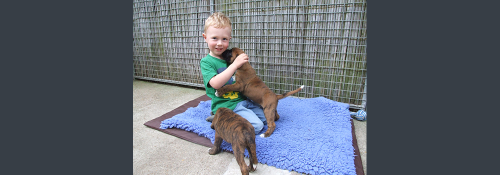 Our son Angus with Pups May 2012