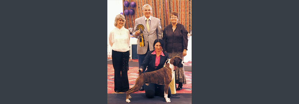 Dog of the Year 2006 - UK's 3rd Top Dog. CH Sleipnir Olaf The Stout (Oli) won UK's 3rd Top Dog. This was at the Cotswold Dog of the Year 2006. What a major achievment this was as Oli was up against all the Top winning dogs that also had to qualify for this BIG Prestigious Boxer Event. Well Done Oli - many thanks to all three judges concerned, Mr Sid Reilly (Tynesider), Mrs Lesley Boyle (Camsail) and Mrs Sagra Tonkin (Tonantron)