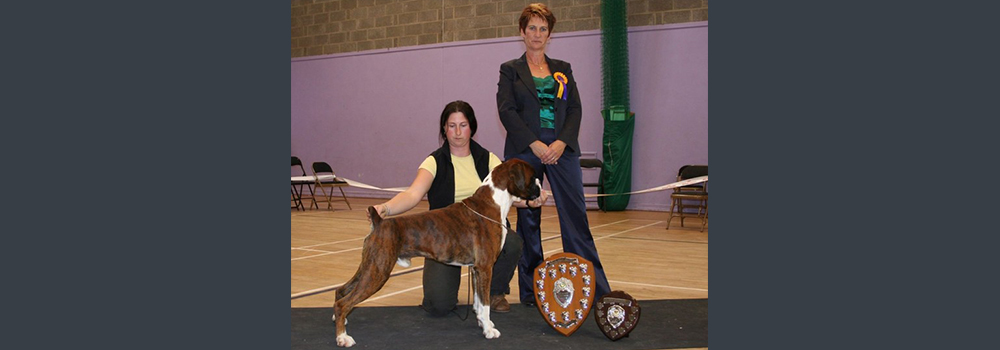 Olaf The Stout (Oli) Winning the CC & BIS at The Irish Boxer Club Championship Show under Mrs Veronica Feaver - this was a Fantastic Day. Unfortunatley I do not have any pictures of Oli Winning his very First CC under Mrs Val Pack-Davison at The Cotswold Champ Show Dec 04